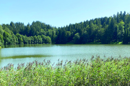Wanderung_Okt_24