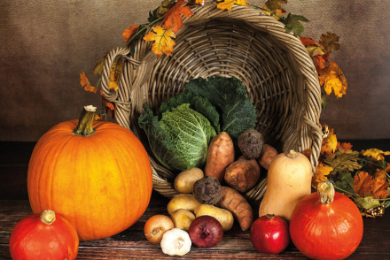 sabrina_ripke_fotografie-pumpkin-1768857