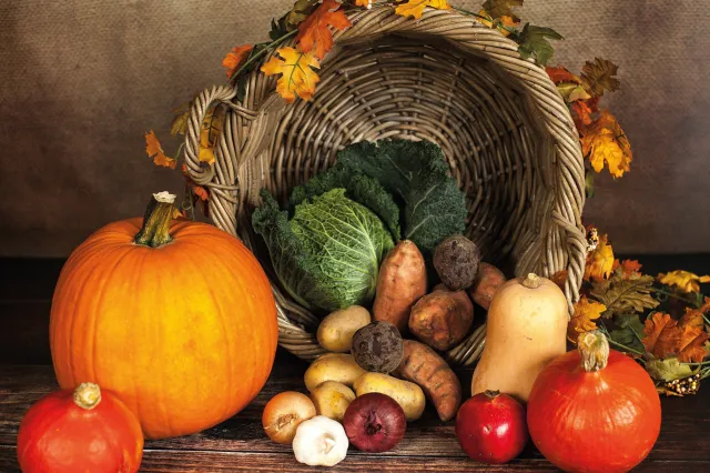 sabrina_ripke_fotografie-pumpkin-1768857 (Foto: ref_st)